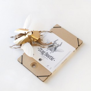 Kit de pliage papier coléoptère doré - Trophée assembli