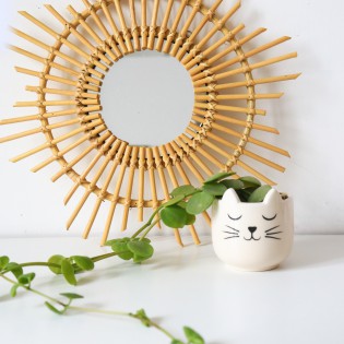 Mini pot pour plante chat - Sass & Belle