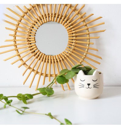 Mini pot pour plante chat - Sass & Belle