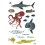 Poster & stickers Animaux Marins - Poppik