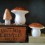 Grande lampe veilleuse champignon Cuivre - Egmont Toys