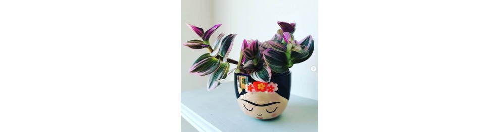 Mini pot Frida - Sass & Belle