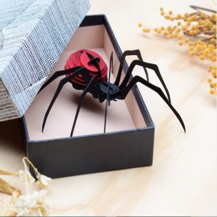 Insecte DIY Araignée Rouge - Assembli