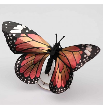 Insecte DIY Papillon Monarque - Assembli