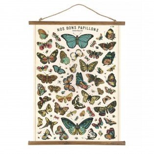 Affiche pédagogique Nos Bons Papillons - Cavallini & Co