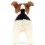 Peluche chien Hector Fox Terrier - Jellycat