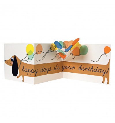 Carte Anniversaire Chien Saucisse - Meri Meri