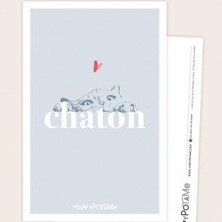 Carte Chaton - Happypotame