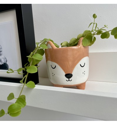 Mini pot pour plante renard - Sass & Belle