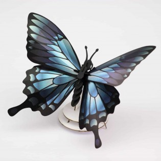 Insecte DIY Papillon Blue mountain - Assembli