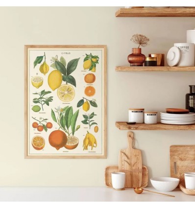 Affiche Citrons - Cavallini & Co