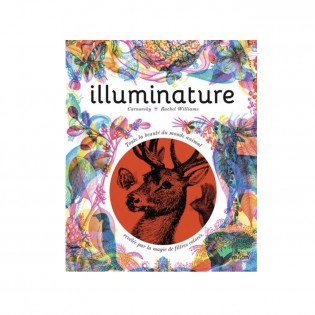 Illuminature - Milan