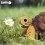 Eugy puzzle Tortue de terre 3D en carton