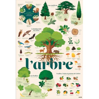 Poster & stickers Arbres - Poppik