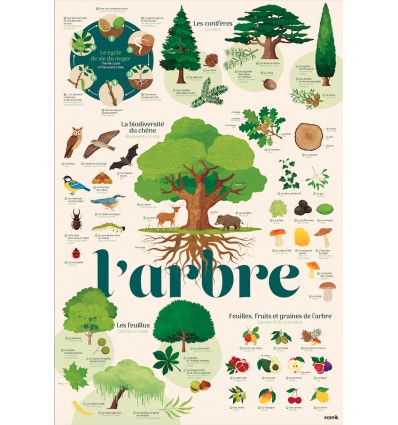 Poster & stickers Arbres - Poppik