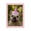 Cadre photo A5 Candy Rose - Slimpyx